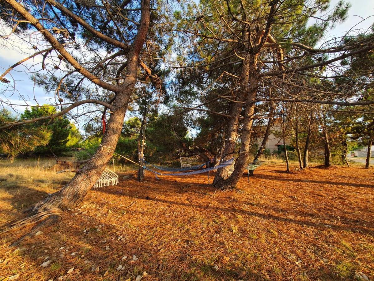 Apartmani Bellevue Vir Esterno foto